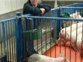 Student with Pigs